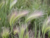 IMG_1975