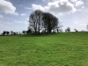 Ireland-111
