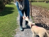 Ireland-134