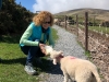 Ireland-135