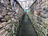 Ireland-35