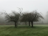 Ireland-52