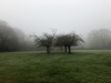 Ireland-53
