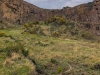 Ireland-66