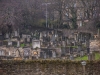 Scotland-31