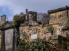 Scotland-34