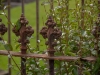 Scotland-37