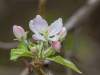 Spring-16