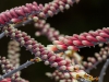 Spring-19