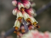 Spring-21