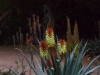 Spring-23