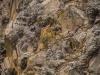Mt Jacinto Palm Springs-14