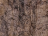Mt Jacinto Palm Springs-17
