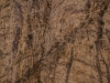 Mt Jacinto Palm Springs-19